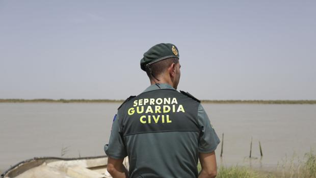 Decomisadas más de 1.000 vieiras sin documentación en Santiago