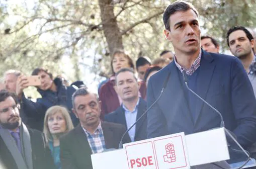 Imagen de Pedro Sánchez durante su intervención