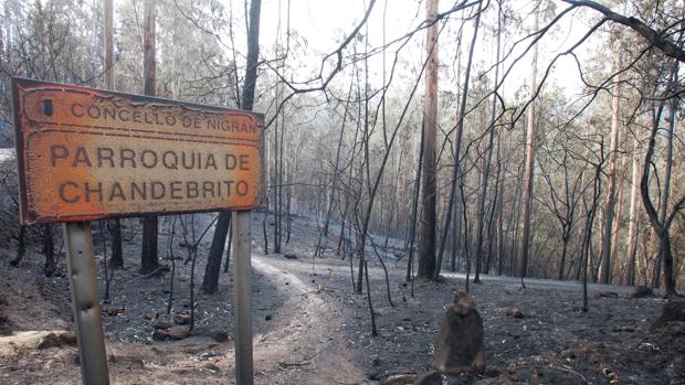 Luces de Navidad para la zona cero de los incendios de Galicia