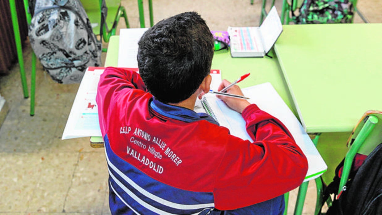 El colegio Allúe Morer de Valladolid es uno de los que se sumarán a este proyecto contra los «guetos» educativos