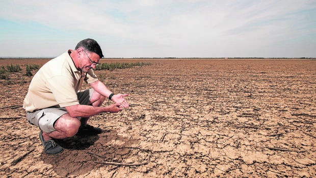 Año «drámatico» para el campo: 600 millones de pérdidas, dice UPA