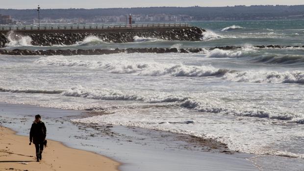 Investigan la muerte de una mujer británica cuyo cadáver ha aparecido flotando en aguas de la bahía de Palma