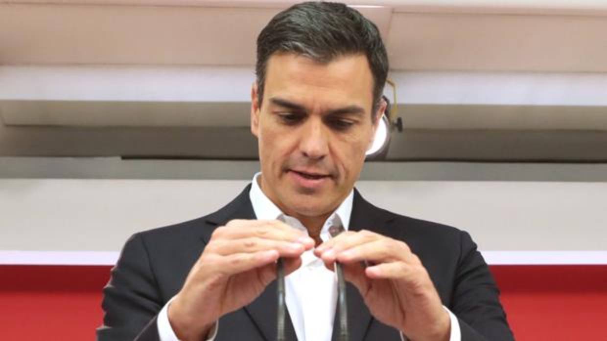 Pedro Sánchez, secretario general del PSOE