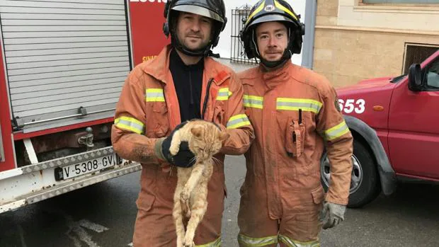 Bomberos rescatan a un gato atrapado varios días bajo un imbornal