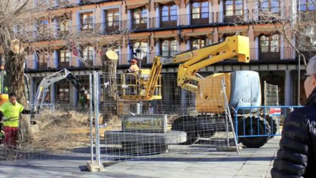 Operarios talan uno de los árboles instalados en la céntrica plaza de Zocodover