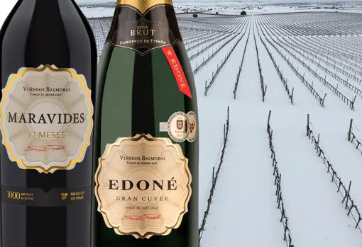 Maravides y Edoné, las dos marcas de vino de esta bodega ubicada a 1.00 metros de altitud