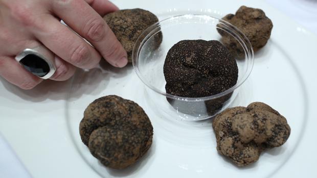 Un mes para acariciar el paladar con el sabor de la trufa zaragozana