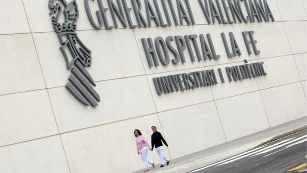 Un grupo de perros ataca a un hombre y le desfigura un brazo en Castellón