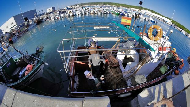 Las trece condiciones que deben cumplir los barcos que pescan el atún de Hacendado para Mercadona