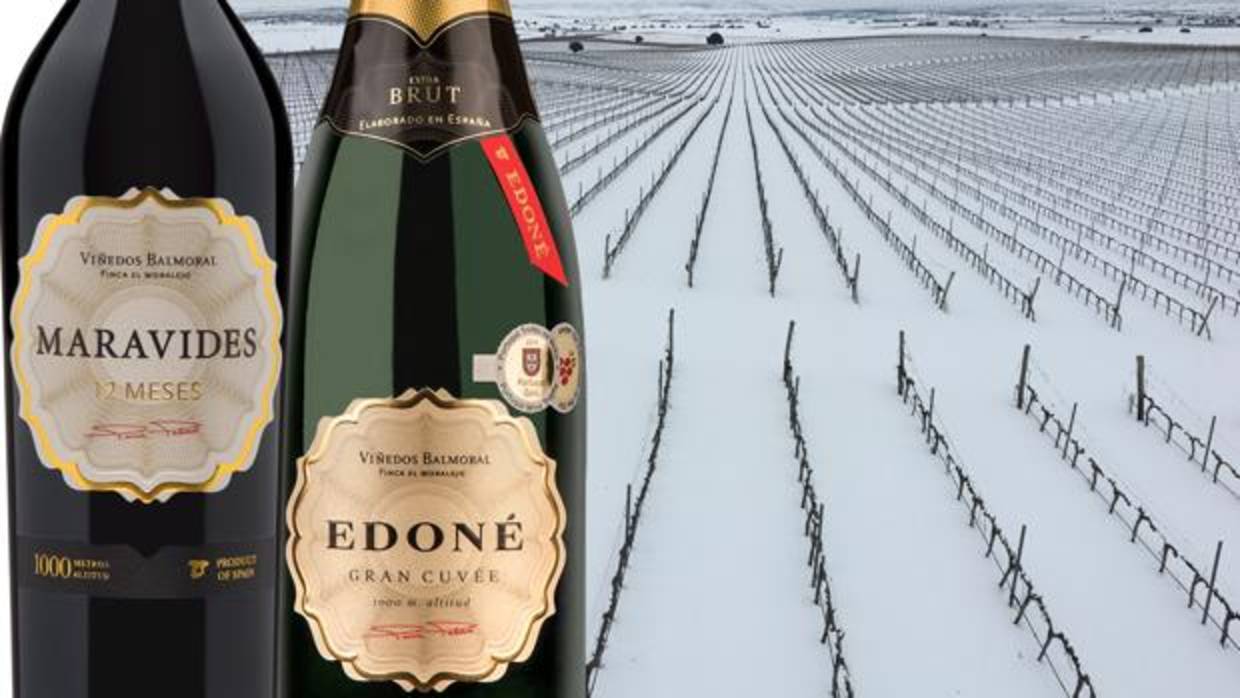 Imagen de dos de los vinos elaborados por Bodegas Balmoral, situada a 1.000 metros de altitud