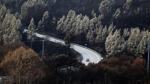 La oposición exige aFeijóo que rectifique por señalar una «trama» incendiaria