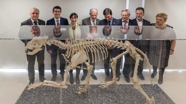 La Universitat de València inaugura el Museu d’Història Natural