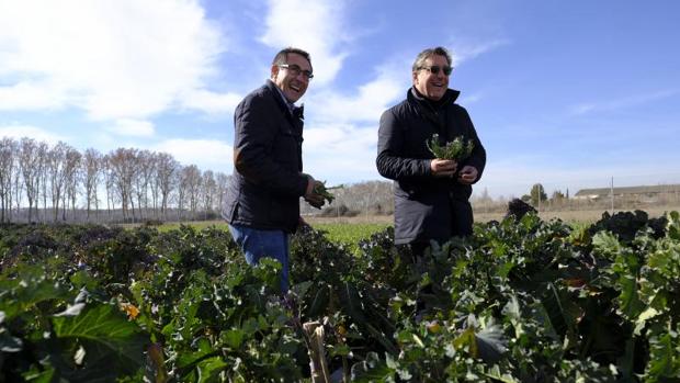 Los hermanos Roca buscan inspiración en Madrid