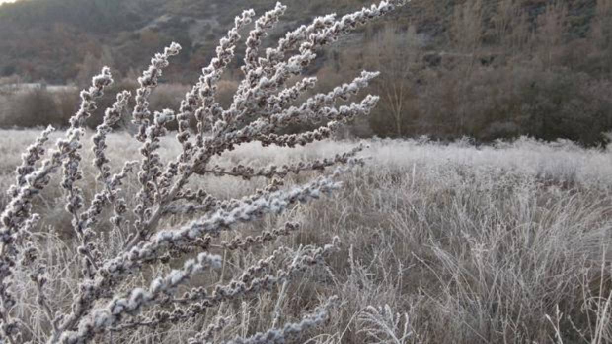 Las bajas temperaturas v la nieve regresan esta semana a Castilla y León