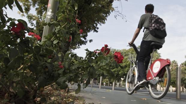 Seseña aprueba el proyecto de expropiación para el carril bici