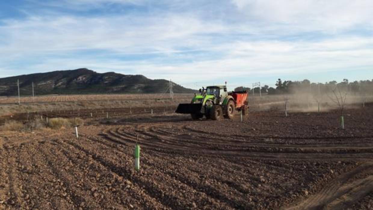 Aplicación de lodos en campos de cultivo, tras el pertinente tratamiento y análisis de éstos