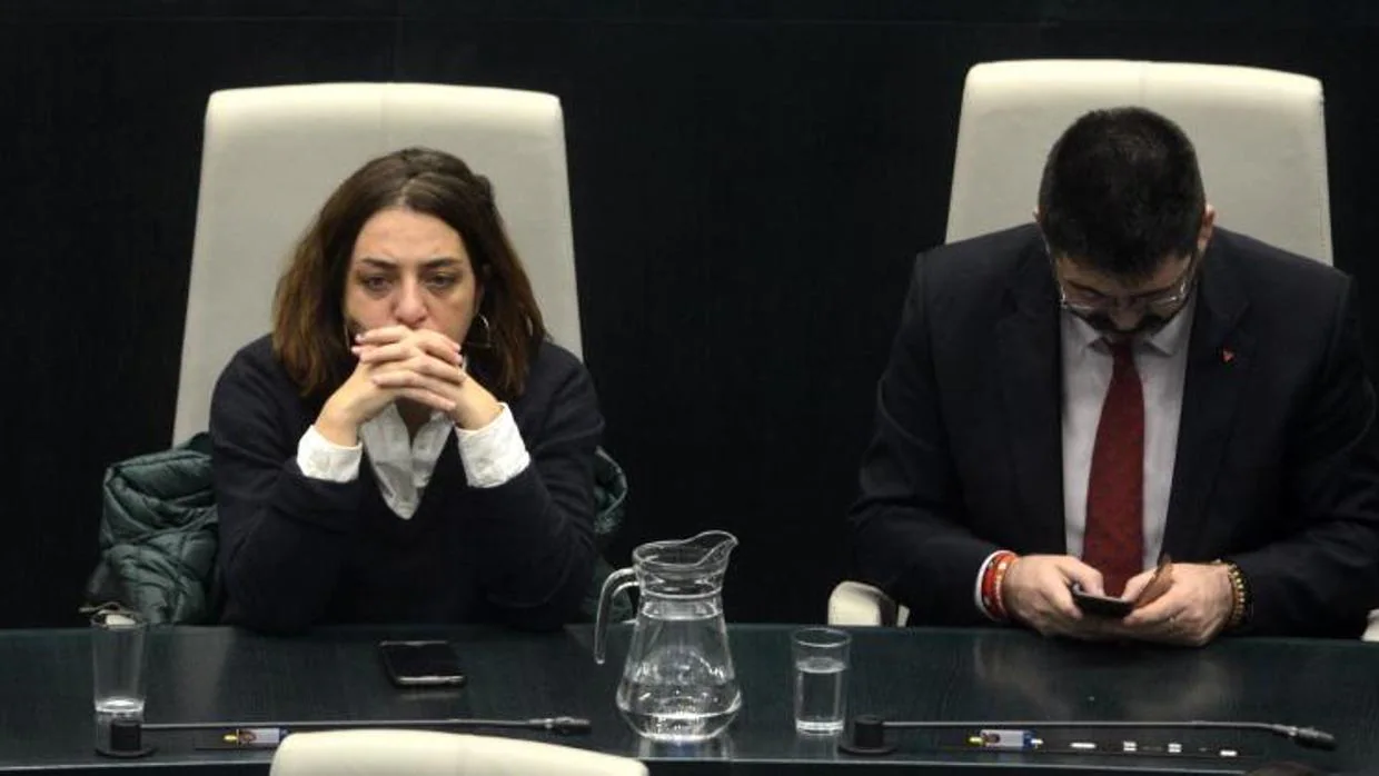 Celia Mayer y Carlos Sánchez Mato, en el Pleno de diciembre donde este último fue destituido por el PEF