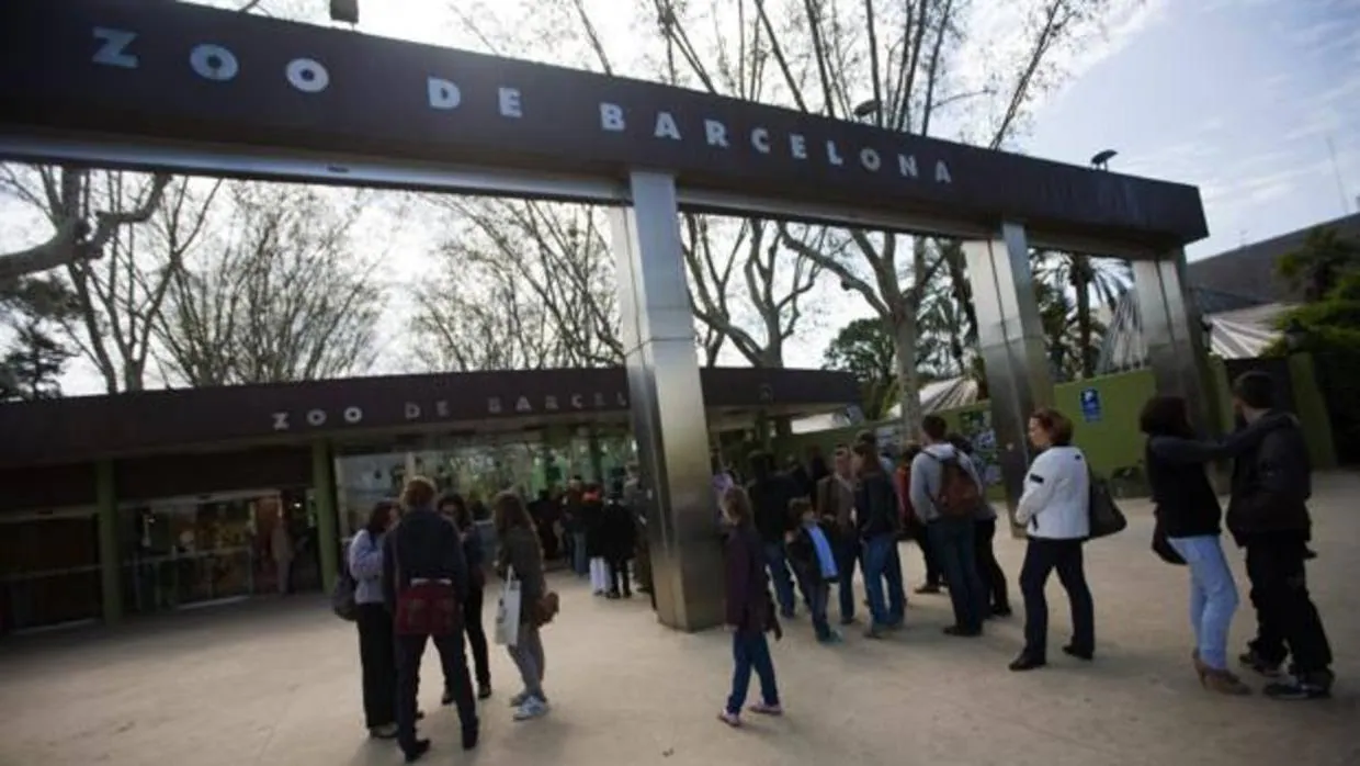 Acceso al Zoo de Barcelona