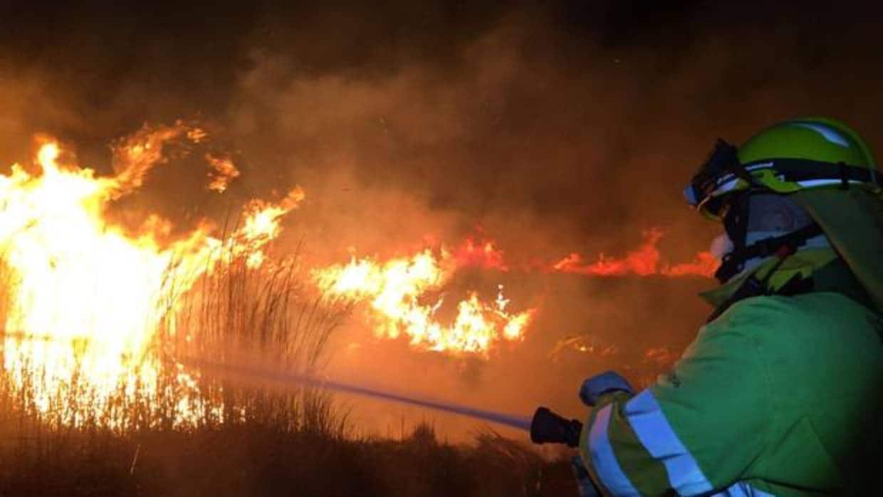 Bomberos trabajan en la extinción del incendio forestal declarado en Torreblanca este martes