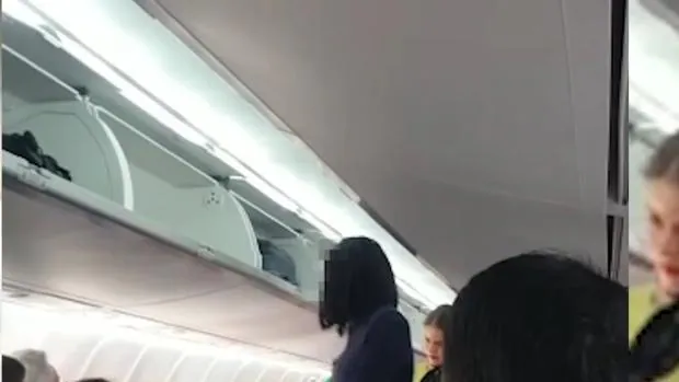Vídeo: ¿Qué hizo el pasaje del vuelo donde una azafata fue insultada por su raza?