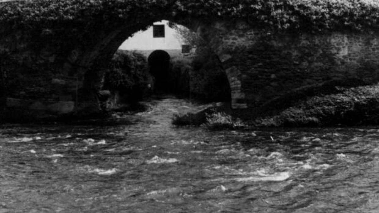 Imagen de archivo del puente del pueblo de Cangas de Narcea en Asturias