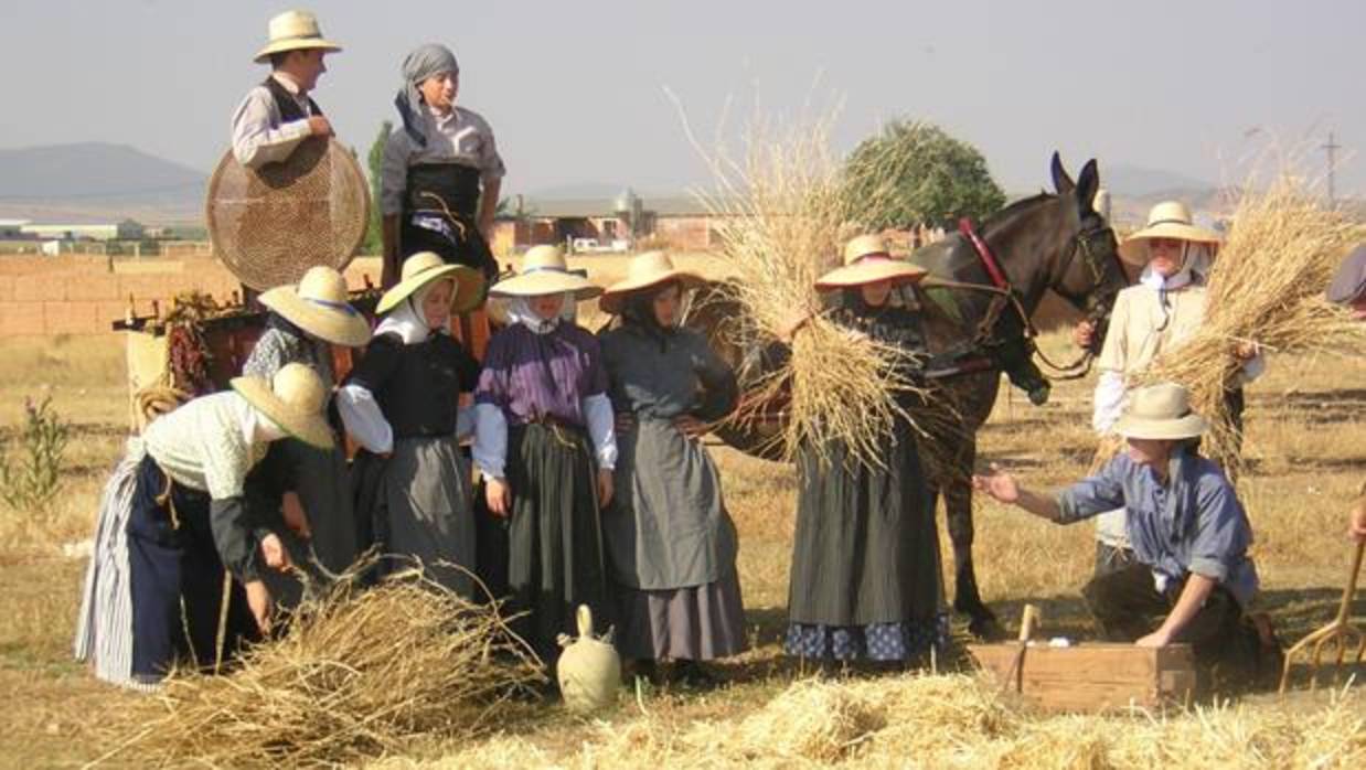 Escenificación de la siega por el grupo consaburense