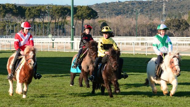 Ponis al galope en el Hipódromo de la Zarzuela