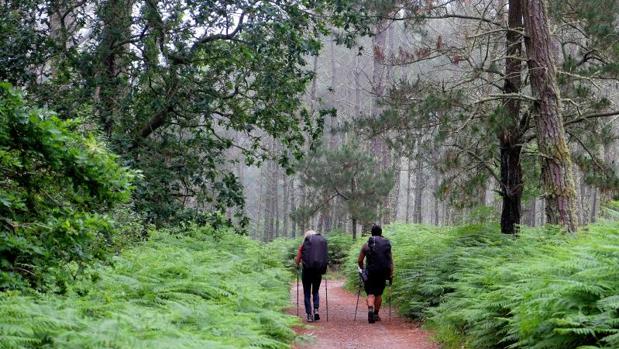 Cada peregrino genera una riqueza equivalente a 2,3 turistas nacionales