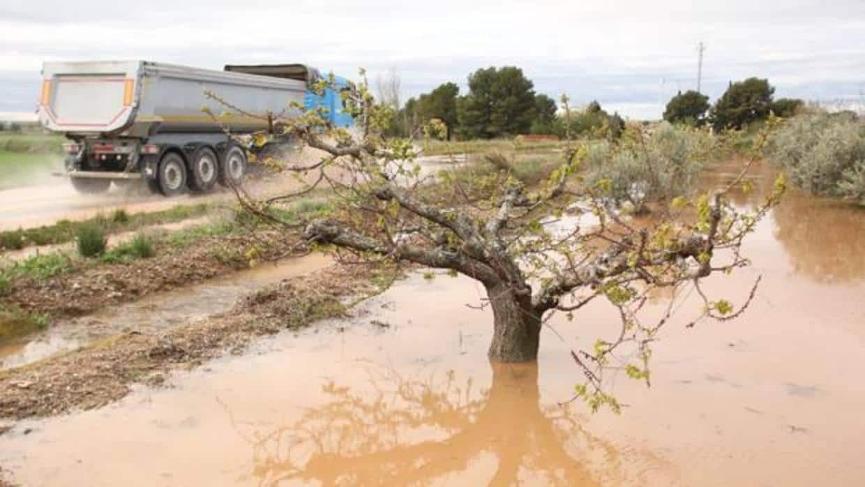 Las aguas desbordadas del Ebro han cubierto 20.000 hectáreas en los municipios ribereños