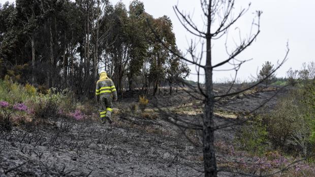 Hallan a un anciano calcinado en su finca tras una quema de rastrojos que se descontroló