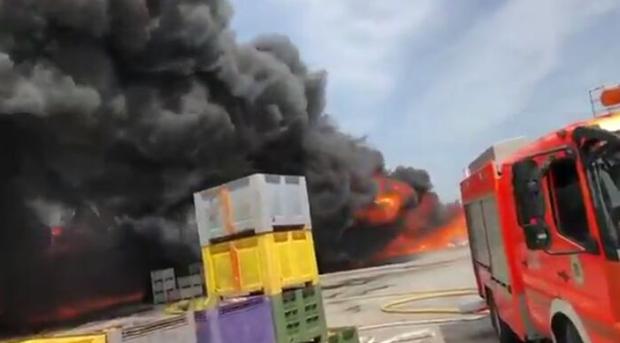 Un espectacular incendio en El Puig arrasa mil metros cuadrados de una empresa de frutas