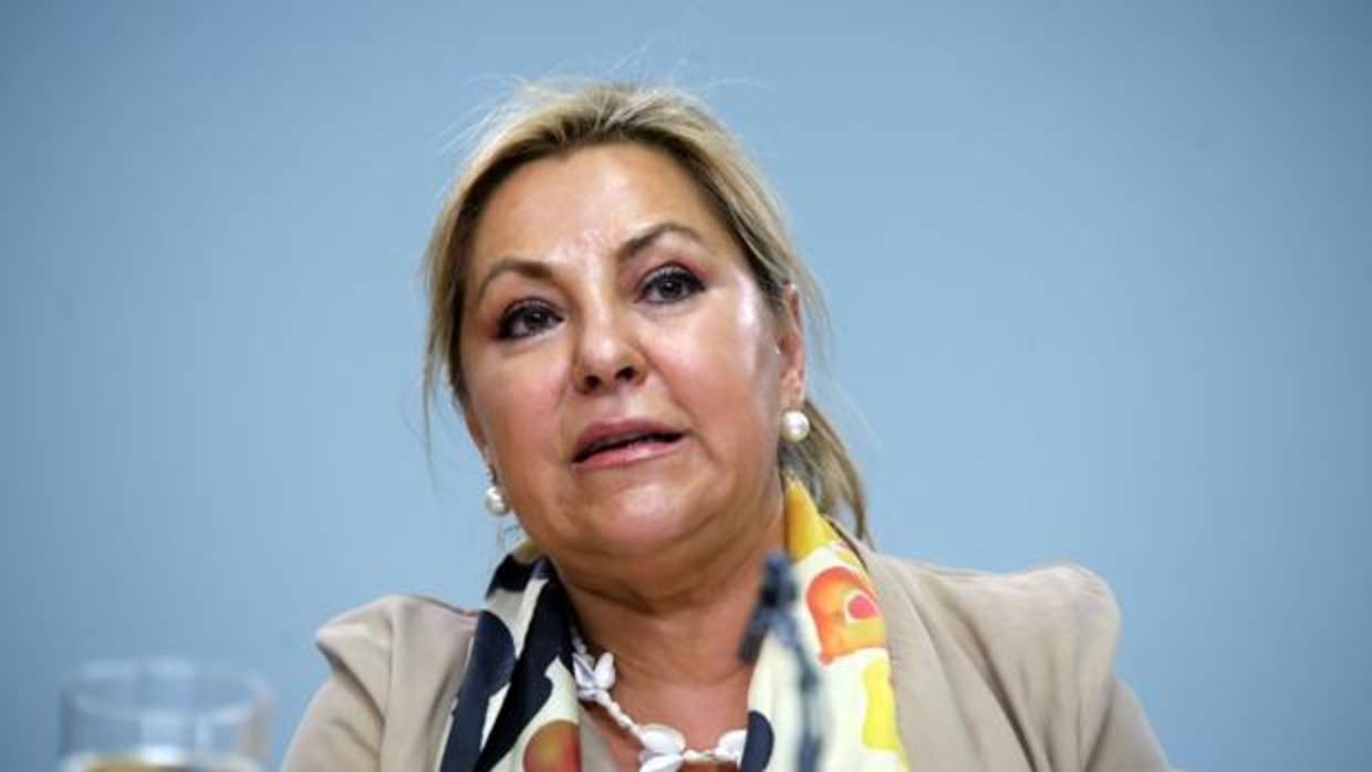 La ex vicepresidenta de la Junta de Castilla y León, Rosa Valdeón