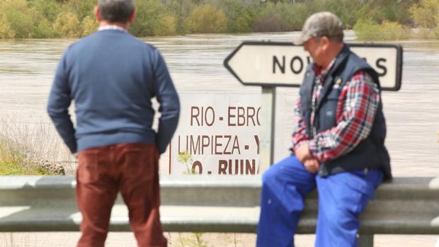 El Gobierno aragonés anuncia ahora un «plan piloto» para limpiar el Ebro