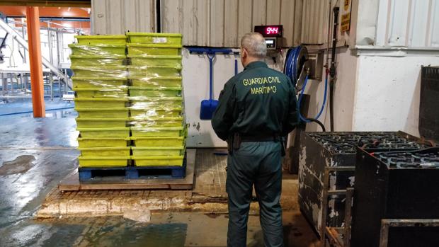 La Guardia Civil entrega más de 850 kilos de sardina decomisada al Banco de Alimentos