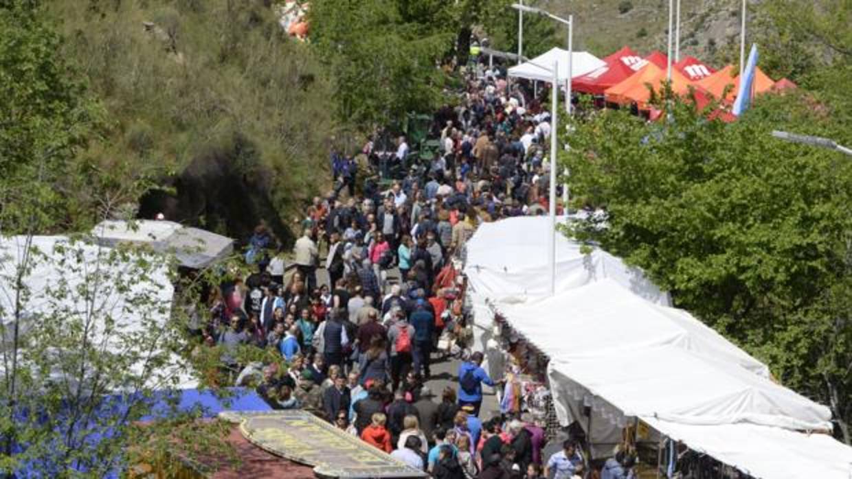 Miles de personas asistieron a la romería el Valle