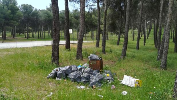 El alcalde de Olías exige a la Junta la limpieza del parque «El Cordel»