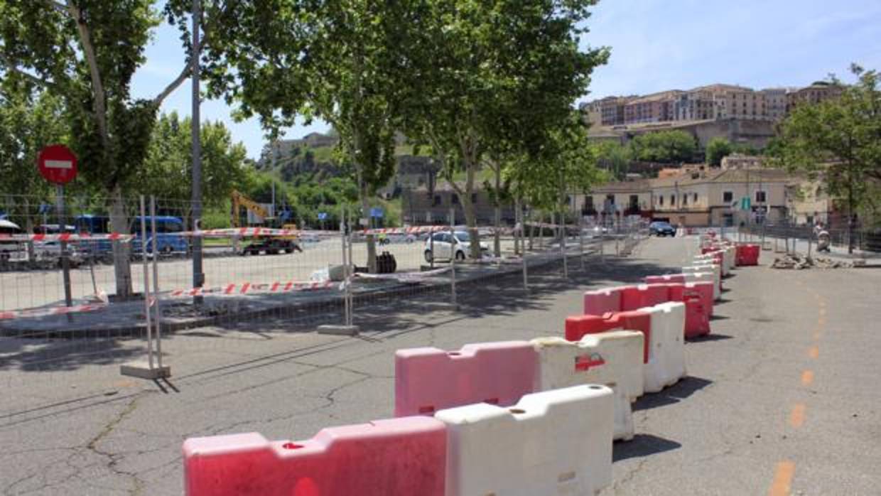 Los coches serán sustuidos por plantas y una pradera de cesped