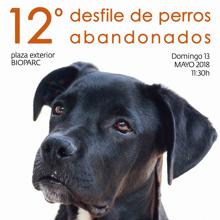 Unos 40 perros abandonados buscan una segunda oportunidad en el desfile AUPA Bioparc Valencia
