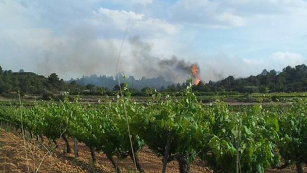 Extinguido un incendio forestal de Cheste tras quemar más de una hectárea de arbolado