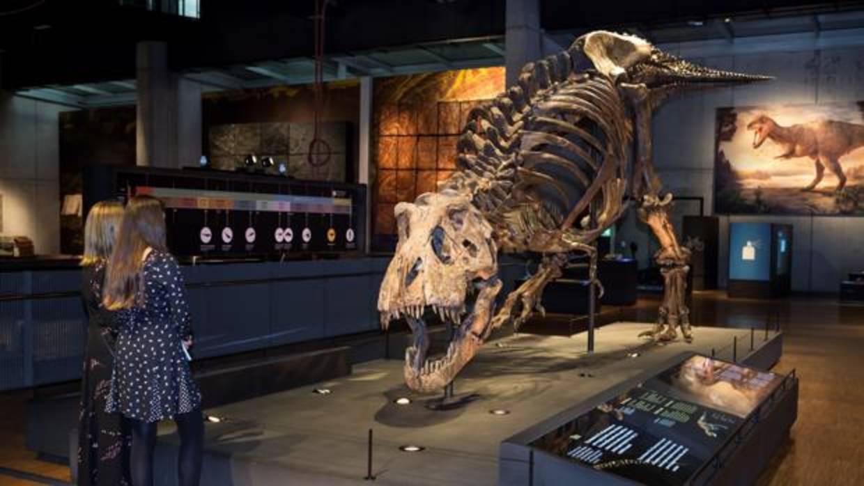 Dos visitantes observan el T-Rex de Cosmocaixa