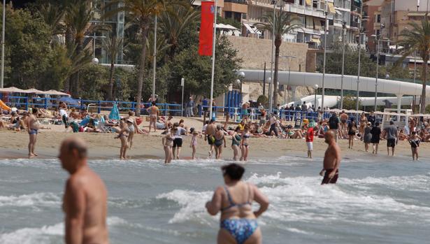 La «invasión» de carabelas portuguesas se extiende por nuevas playas de la provincia de Alicante