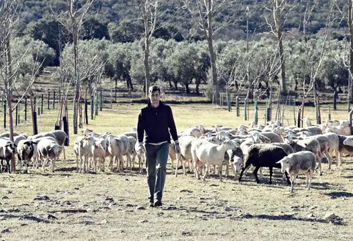 Jesús Alonso Gómez, responsable de Pago Valle Molinos, con su ganadería de ovejas Lacaune