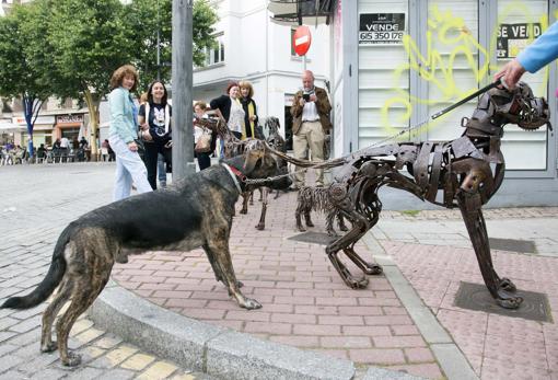 Exposición «Algunos perros de mi vida» de José Antonio Elvira, en la plaza del Oeste y que forma parte de la programación del Facyl 2018 el Fàcyl 2018