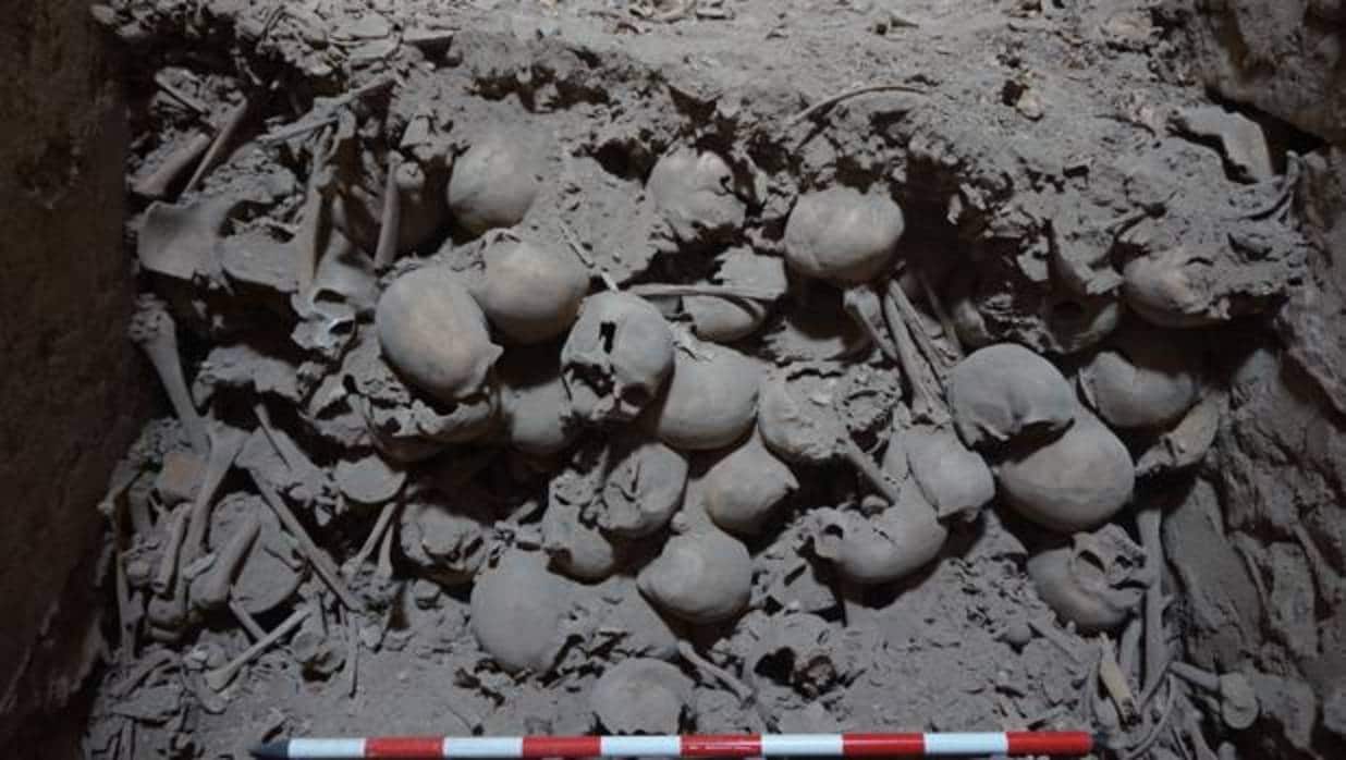 Imagen de algunos de los huesos hallados