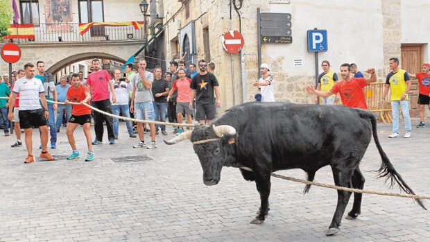 Astudillo asume la prohibición del toro enmaromado y busca otros festejos