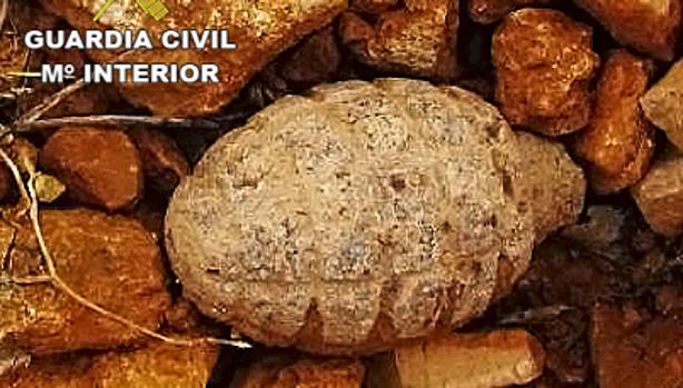 Hallan una granada de la Guerra Civil en el yacimiento arqueológico Vega del Azuer de Manzanares