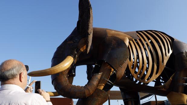 Un impresionante elefante de hierro y madera para celebrar los diez años de Bioparc Valencia