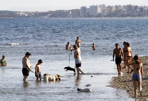 Imagen de una playa para perros en El Campello (Alicante)