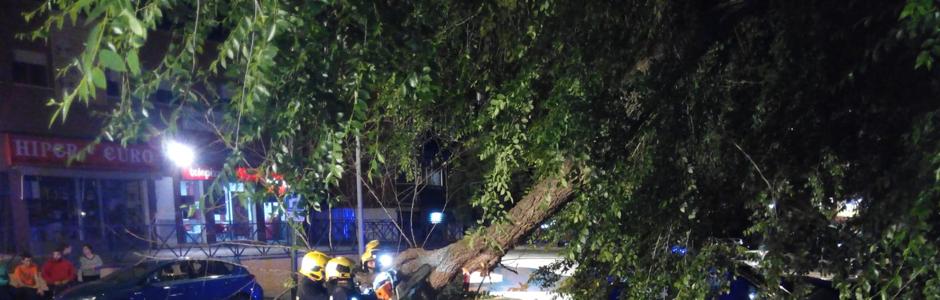 Los bomberos retiran el árbol del coche accidentado