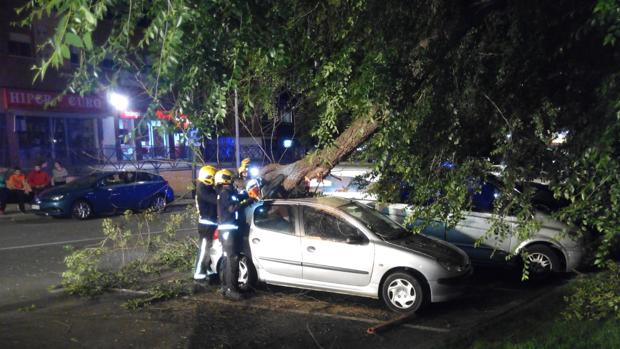 Un árbol de grandes dimensiones cae sobre un coche en la avenida de Castilla-La Mancha en Illescas